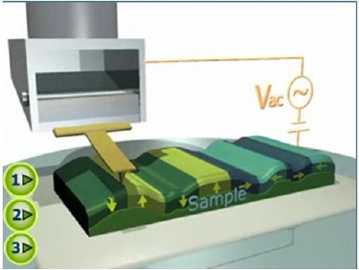 piezoresponse force microscopy
