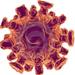 The ability of the NanoSight instrument to count and size viruses and their aggregates in liquid suspension is becoming increasingly important to those involved in the development of viral vaccines