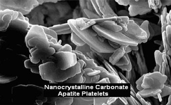 Nanotechnology has opened up innovative techniques for producing bone-like synthetic nanopowders and hydroxyapatite coatings. Although not called nanopowders, nanoscale materials have existed since the dawn of science using a range of chemical routes. 