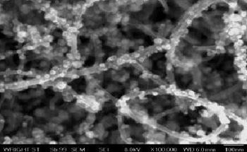 This review will focus on carbon nanotubes attached on larger graphitic solids, which can range from simple flat graphite to complex cellular foams having open-interconnected porosity. 