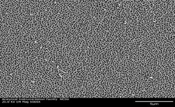 Professor Narayan and his colleague at Joint Department of Biomedical Engineering, University of North Carolina and North Carolina State University have recently performed several studies to examine the use of atomic layer deposition for modifying the surfaces of nanoporous alumina membranes.