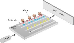 Schematic representation of the sensor: light from a laser is directed onto a wave-guide structure (chip) on which several measuring and reference channels are located. 