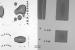 Electronic systems designed to perform simple functions, such as monitor the temperature on a yogurt pot, mustn't cost much: This is where printed electronics are at an advantage. Researchers are now significantly improving the properties of printed circuits. 