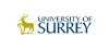 The Advanced Technology Institute at the University of Surrey has been awarded a major research grant by the energy giant E.ON based in Germany as part of their 'Application of Nanotechnology in the Energy Business'. 