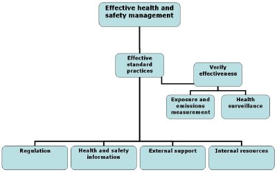 Development of Health and Safety Standards to Support Nanotechnology ...