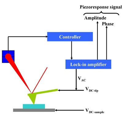 Piezoresponse Force Microscopy (PFM) - Introduction, Principles and ...