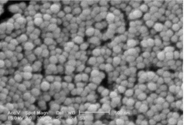 Chitosan Nanoparticles Properties And Applications 9957