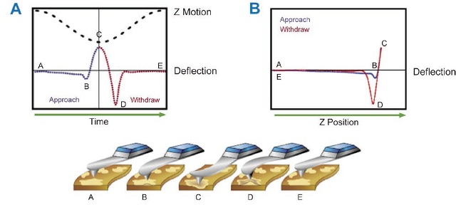 download table atomic Tapping Helix Mode the Double with Imaging PeakForce AFM DNA