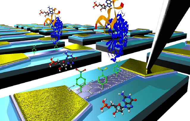 Graphene Biosensors For Early Cancer Detection