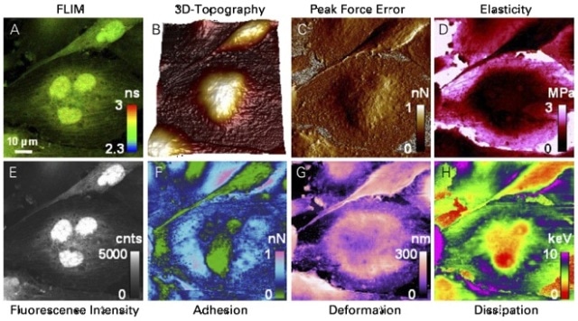 nanoscope analysis software download