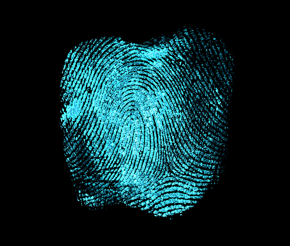 Developing Fingerprints Using Silica Nanoparticles