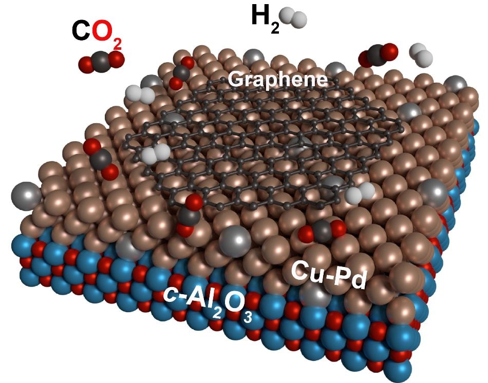 Carbon Dioxide Is A Raw Material In Which Process