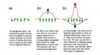 Physicists Show How Quantum Dots Exhibit Magnetic Property