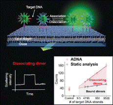 Scientists Develop New Method for Detecting Extremely Small Amounts of DNA