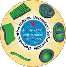 Strategy for Synthesizing Low-Dimensional Polyion Complex Nanomaterials with Various Morphologies