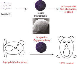 Air-Filled Microbubbles - Potential Intravenous Oxygen Carriers