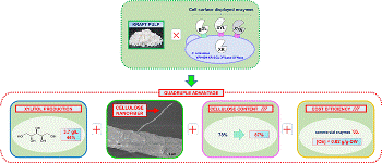 Producing Xylitol and Cellulose Nanofibers from Paper Paste to Realize a Sustainable Society